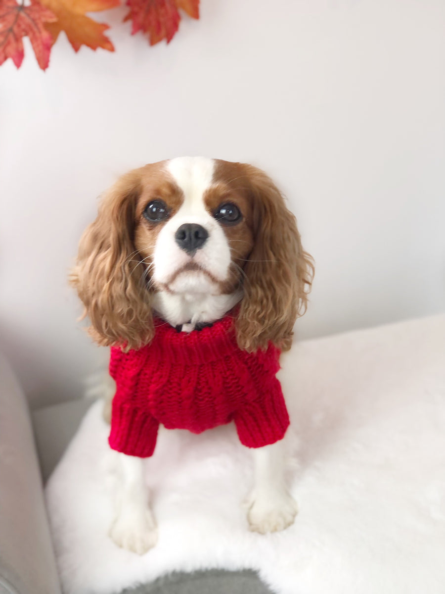 Bravehound Hand-knitted Bird Dog Sweater - Red Bark Shop