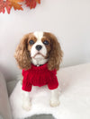 Handknit Cable Dog Jumper - Red