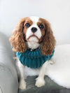 Chunky Cable Dog Jumper - Teal