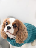 Chunky Cable Dog Jumper - Teal