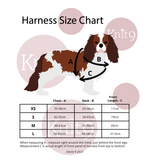 Adjustable Dog Harness - Ascot